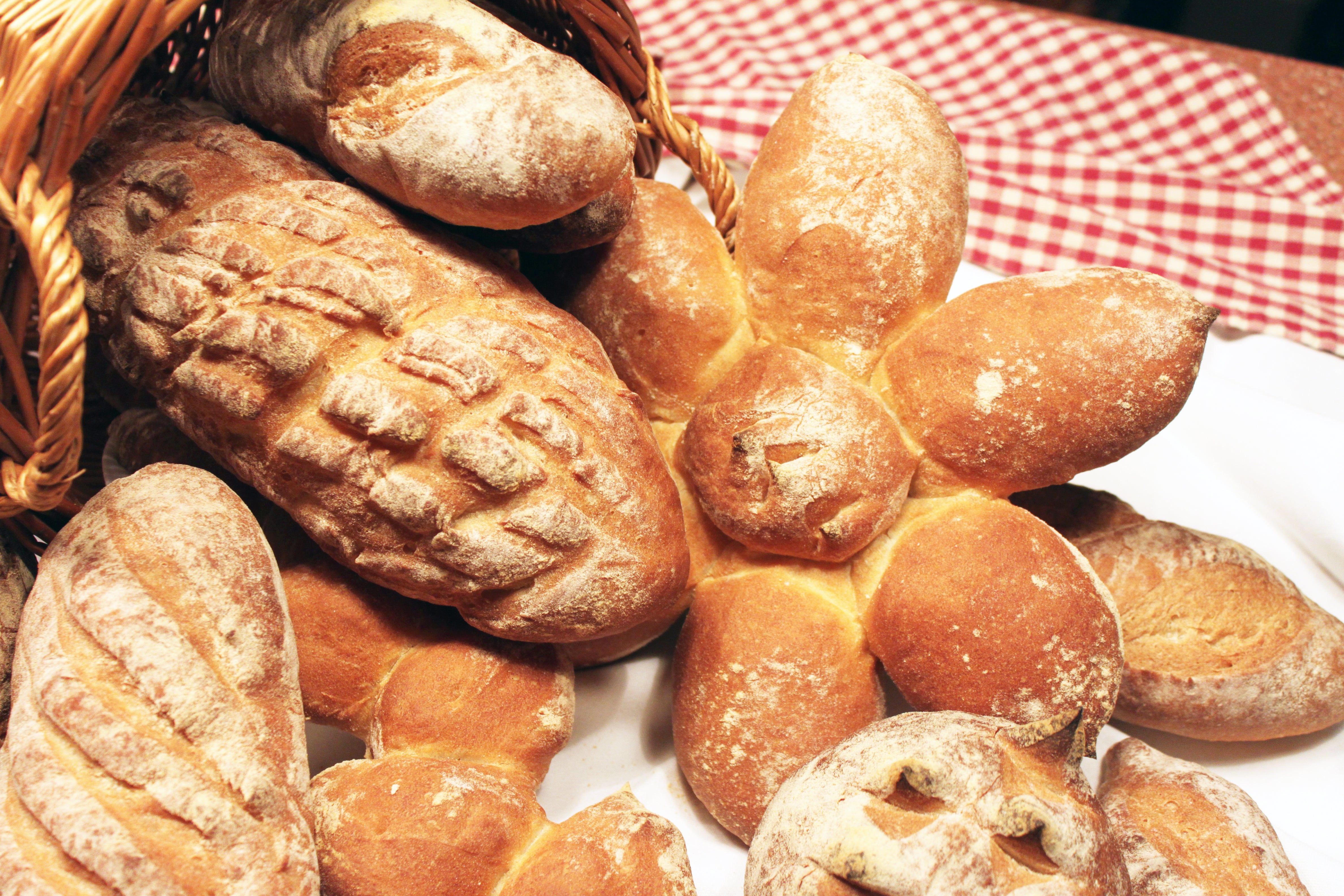 Organic Breads