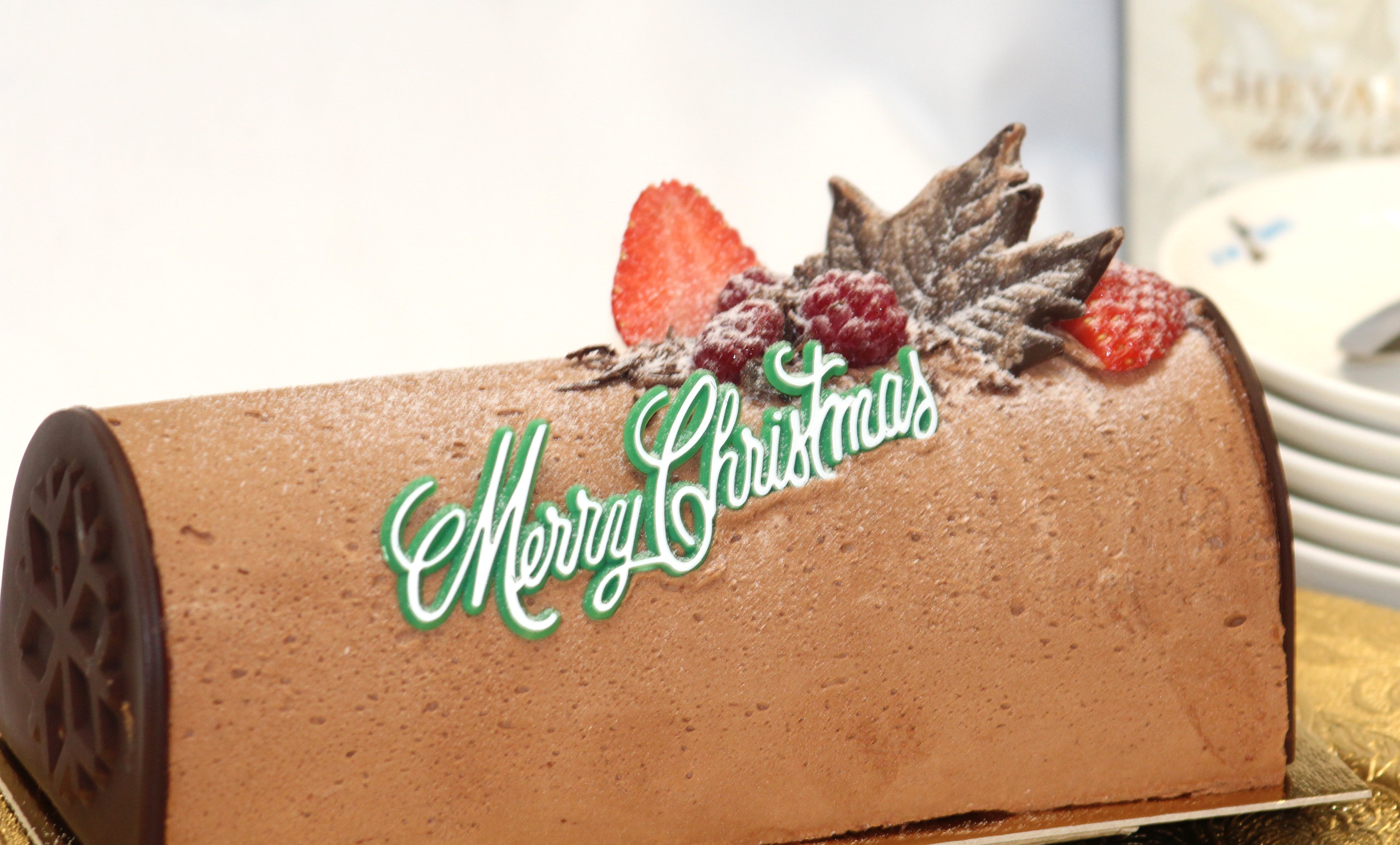 Organic Christmas Log #3 - Chocolate Fruit Log